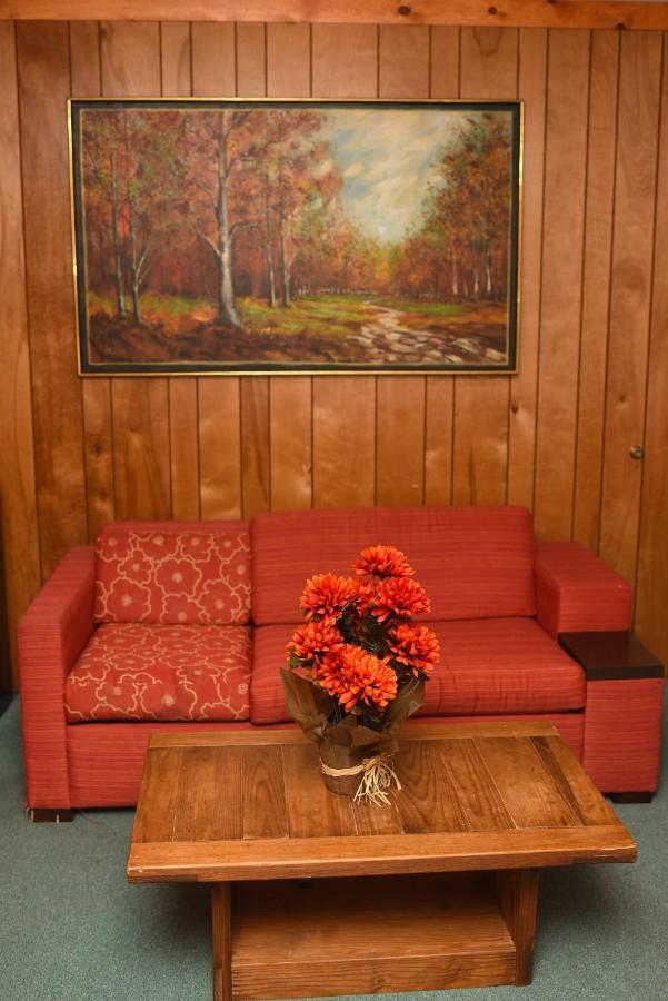 Chestnut Grove Family Resort 마운트포코노 외부 사진